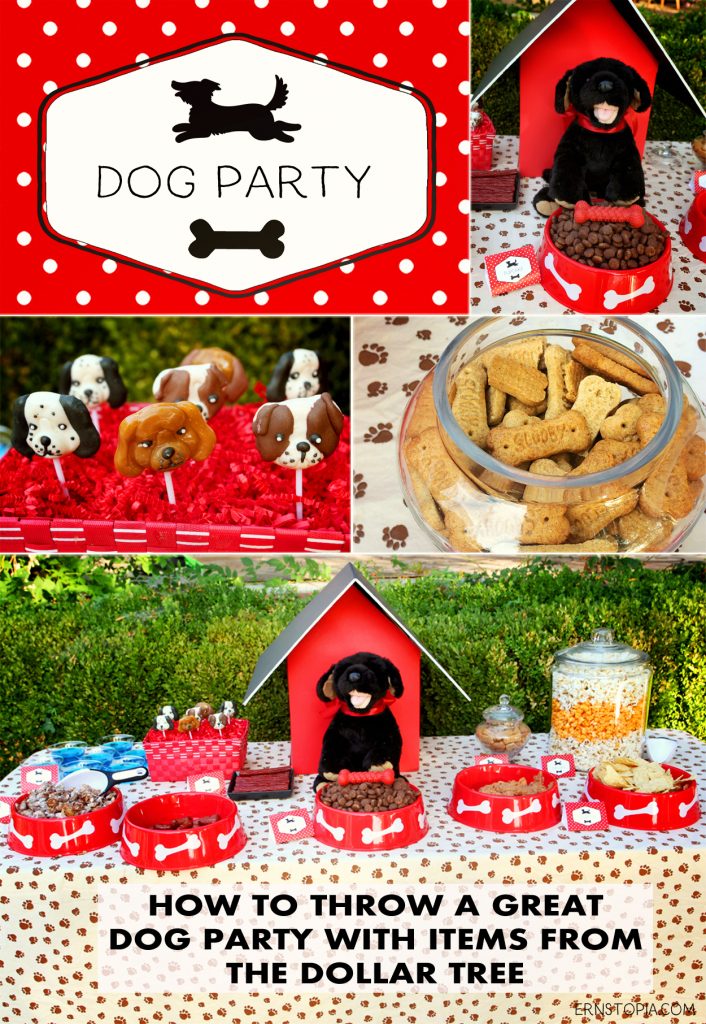 How to Throw a Great Dog Birthday Party with Items From the Dollar Tree ...